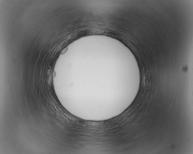 X0000115321204200911301550