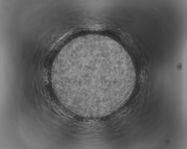 X0000115321205200911301550