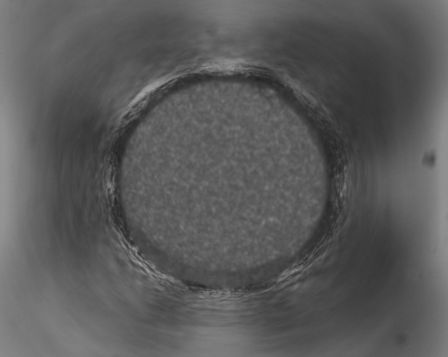 X0000115321206200911301550