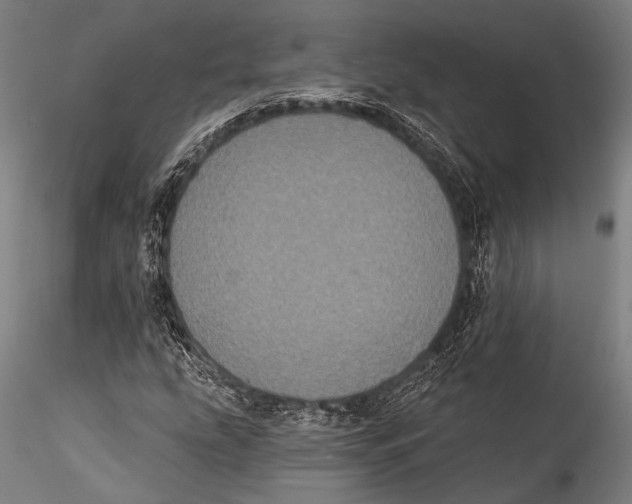 X0000115321207200911301550