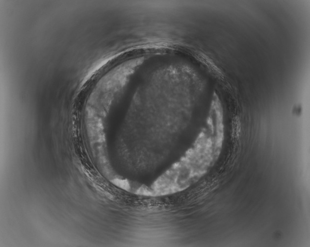 X0000115321208200911301550