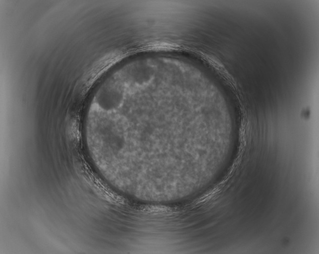 X0000115321209200911301550