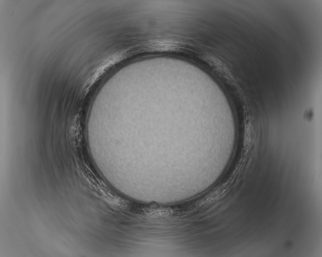 X0000115321210200911301550