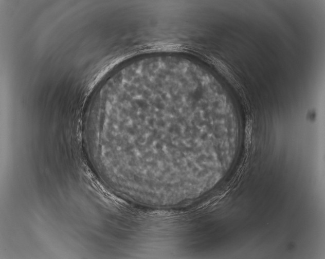 X0000115321212200911301551