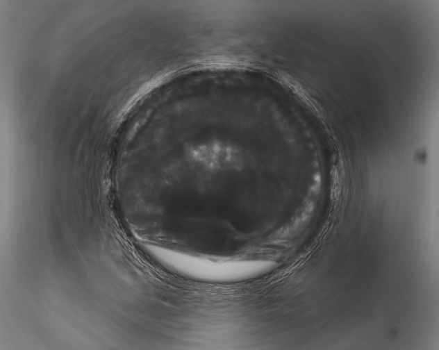 X0000115321213200911301551