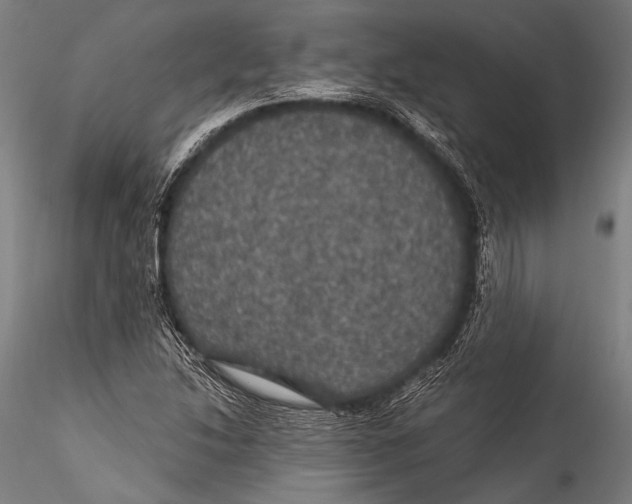 X0000115321214200911301551