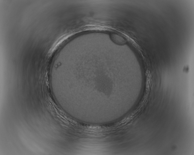 X0000115321215200911301551