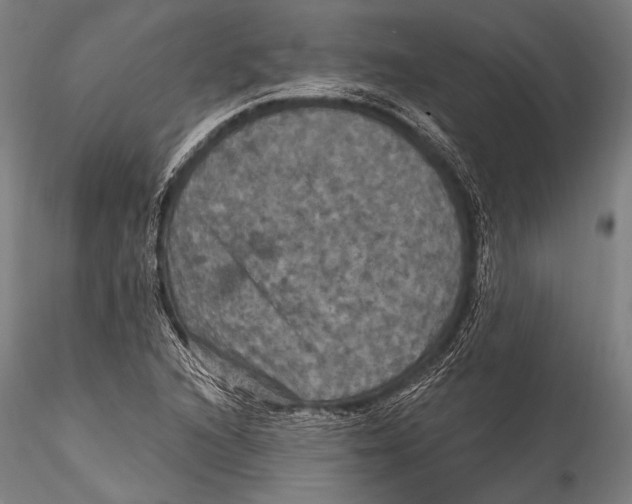 X0000115321216200911301551