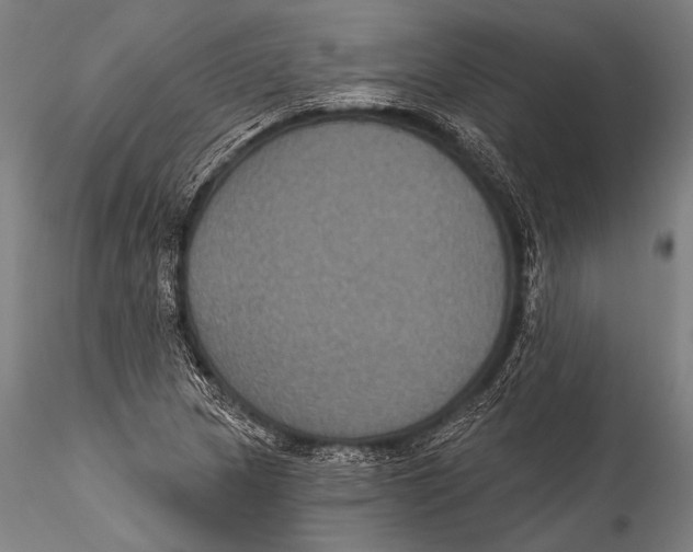 X0000115321217200911301551