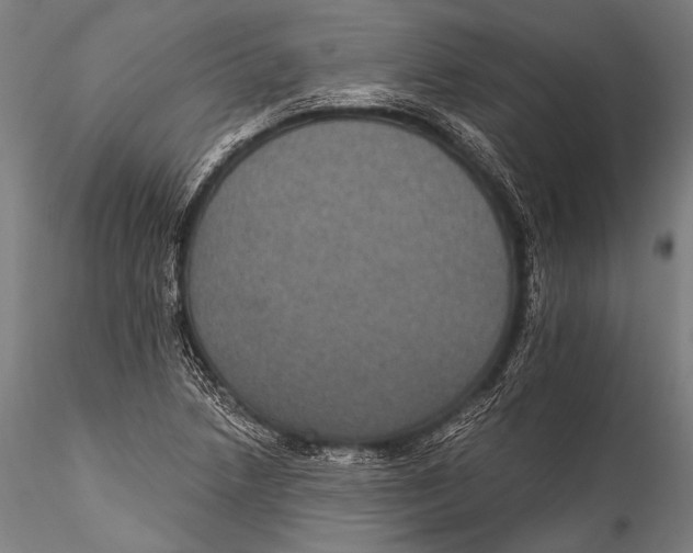 X0000115321218200911301551