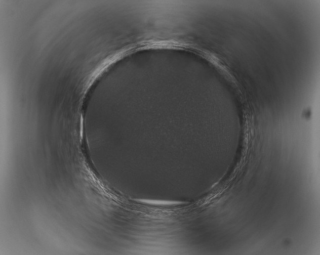 X0000115321221200911301551