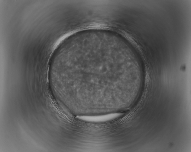 X0000115321222200911301551