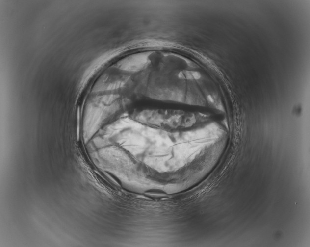 X0000115321223200911301551