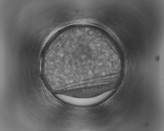 X0000115321224200911301551