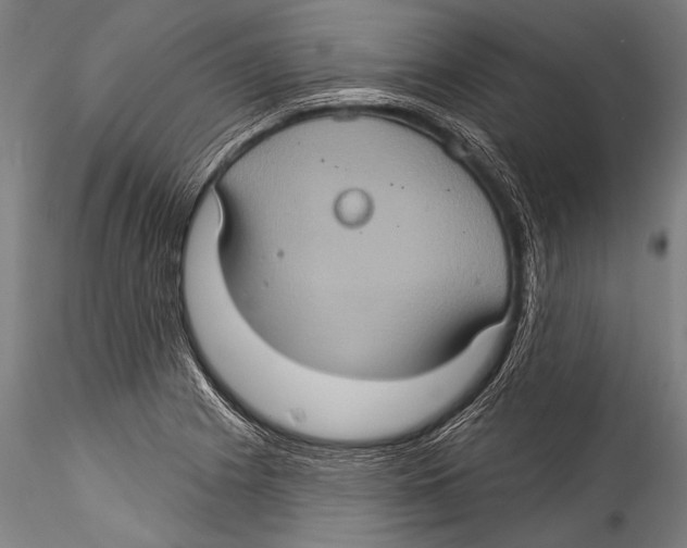 X0000115321225200911301551