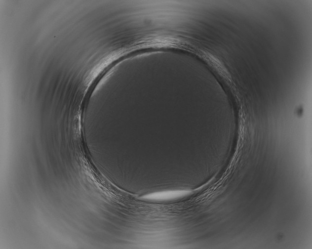 X0000115321226200911301551