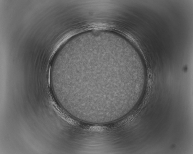 X0000115321227200911301551