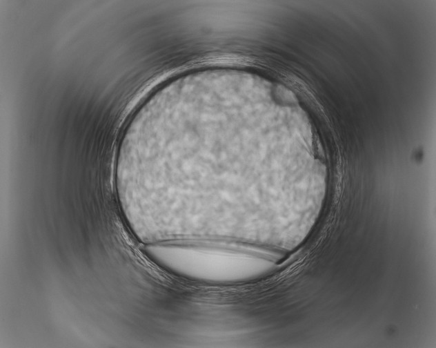 X0000115321228200911301551