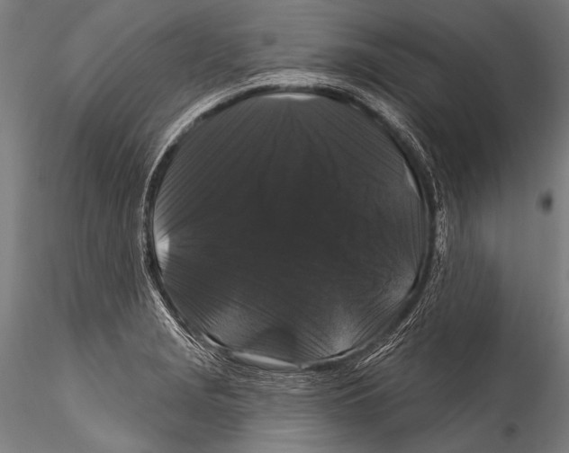 X0000115321229200911301551