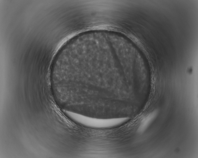 X0000115321230200911301551