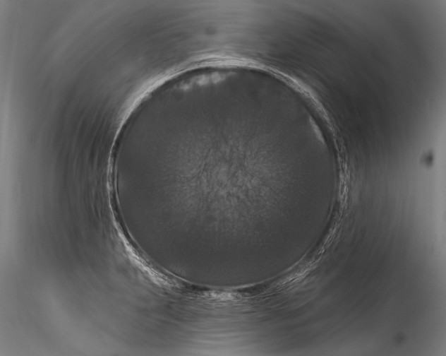 X0000115321231200911301551