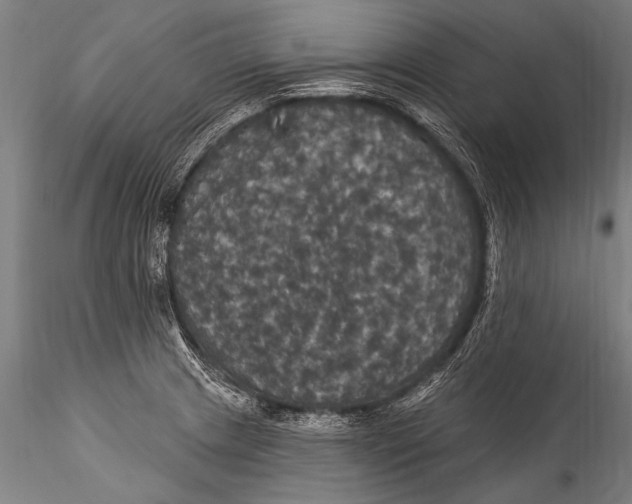 X0000115321233200911301551