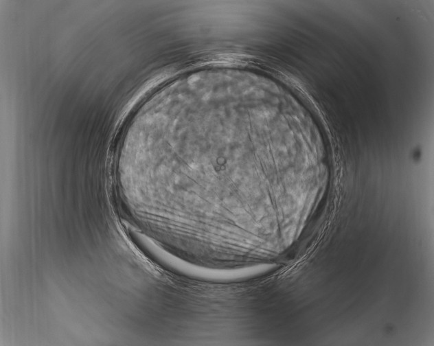 X0000115321235200911301551