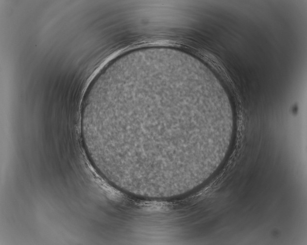 X0000115321236200911301551