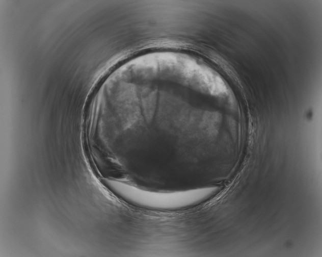 X0000115321237200911301551