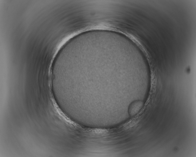 X0000115321238200911301551