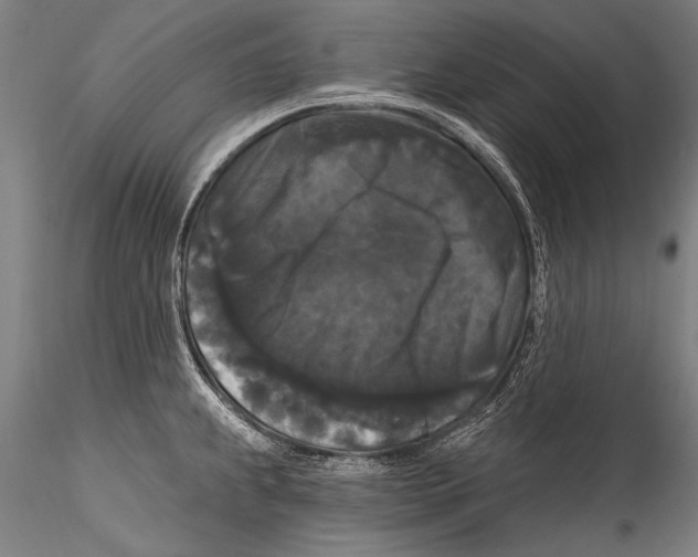 X0000115321239200911301551