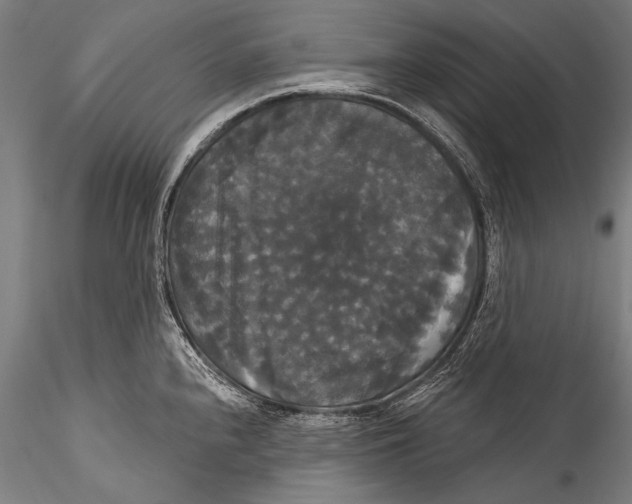 X0000115321240200911301551