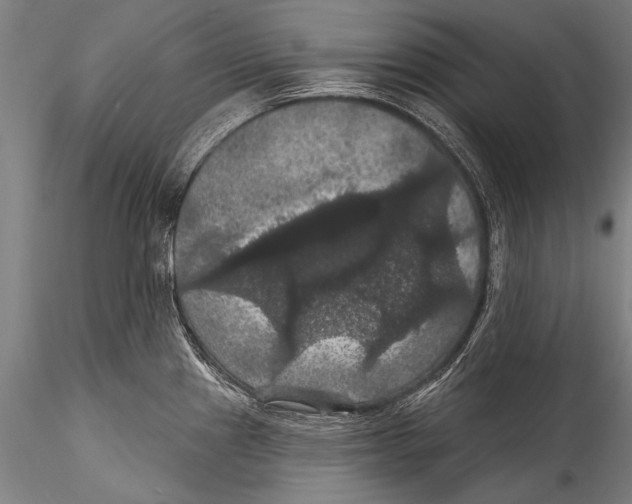 X0000115321241200911301551