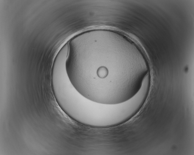 X0000115321244200911301551