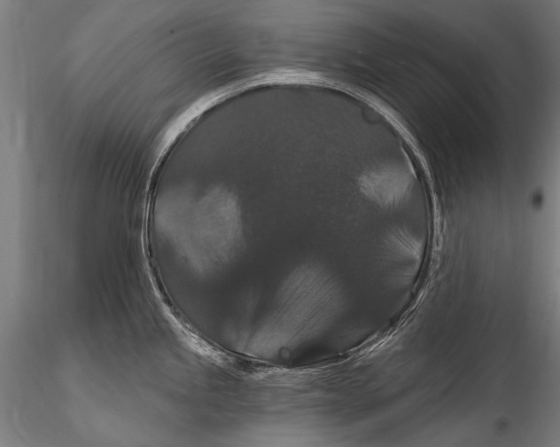 X0000115321245200911301551