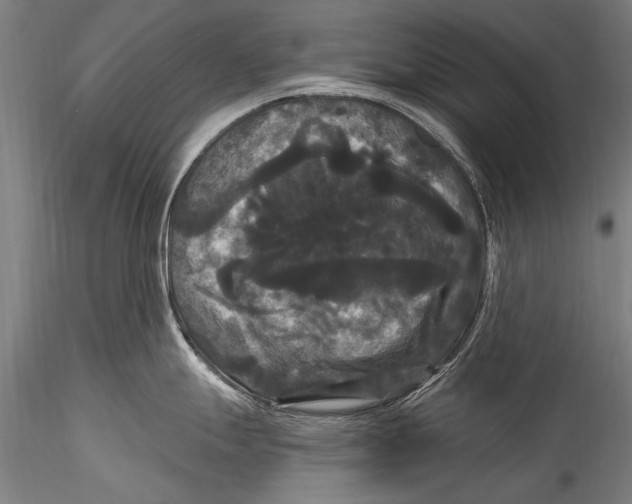 X0000115321247200911301551