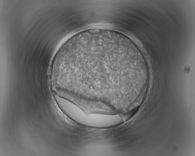 X0000115321248200911301551