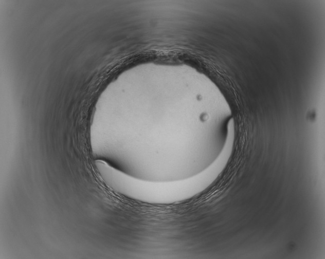 X0000115321249200911301550