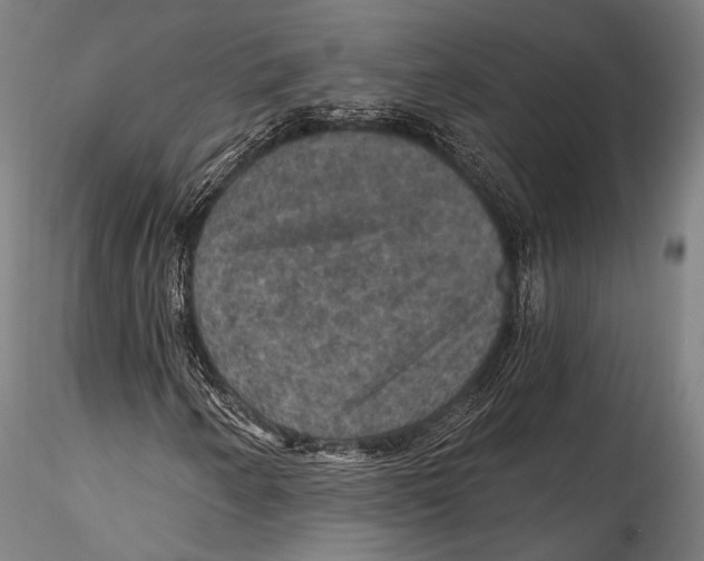 X0000115321250200911301550