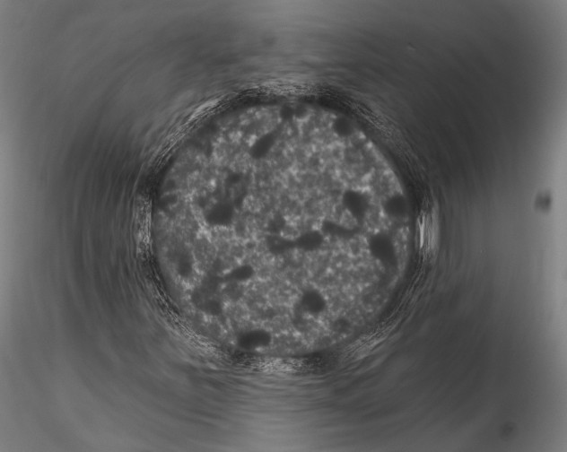 X0000115321251200911301550