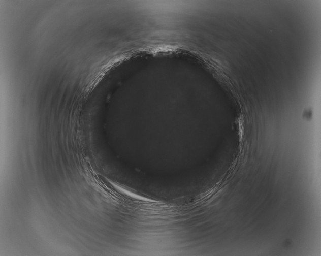 X0000115321252200911301550