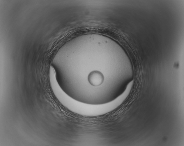 X0000115321253200911301550