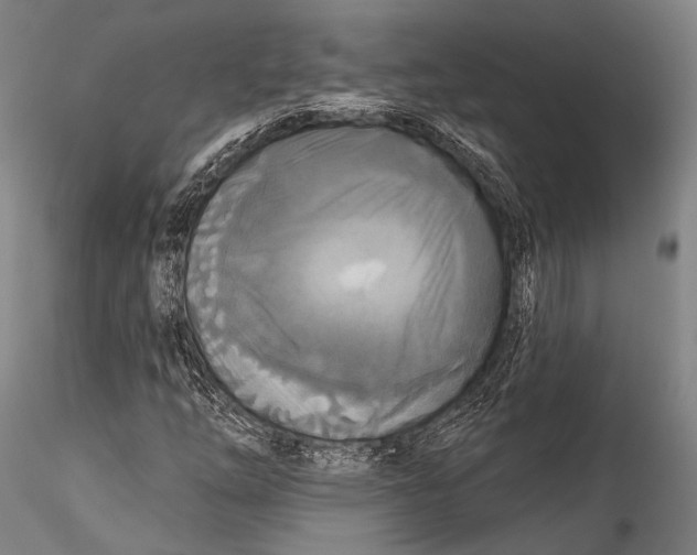 X0000115321254200911301550