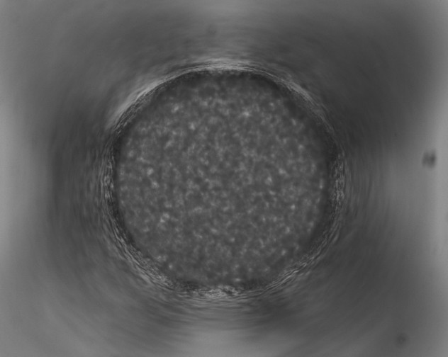 X0000115321255200911301550