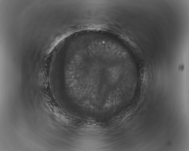 X0000115321256200911301550