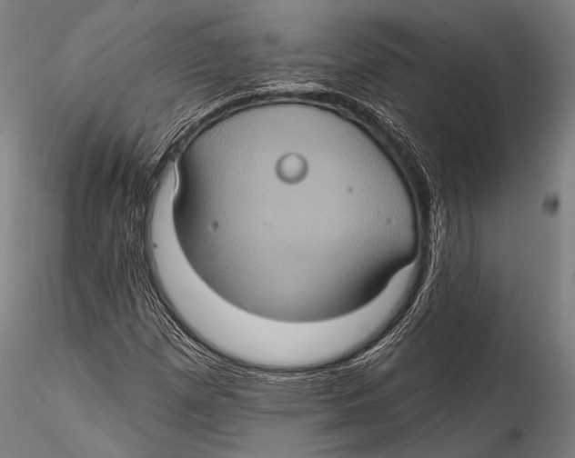 X0000115321257200911301550