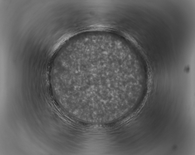 X0000115321259200911301550