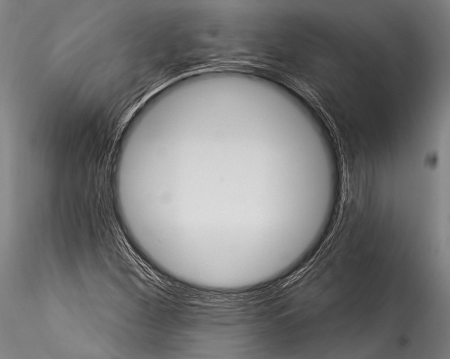 X0000115321260200911301550