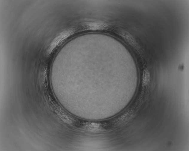 X0000115321261200911301550