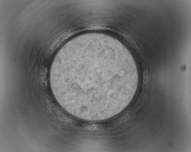 X0000115321265200911301550